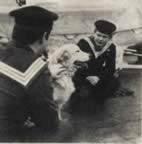 Strona 13 zdjecie 2 (7kb)